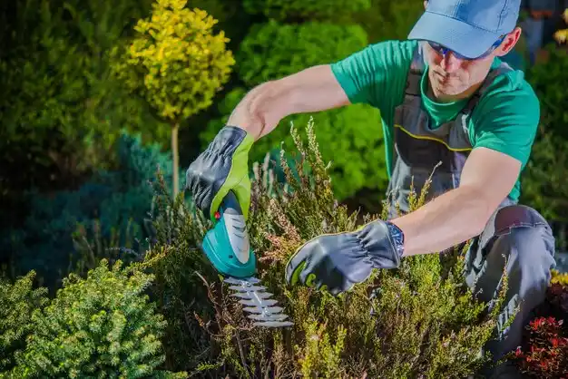 landscaping services Struthers